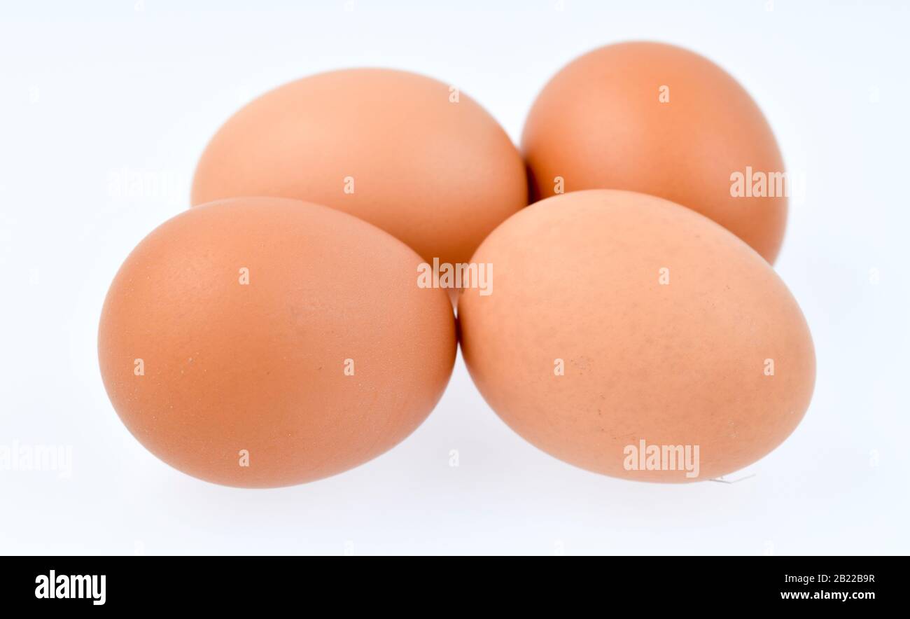 Eier, Studioaufnahme Foto Stock