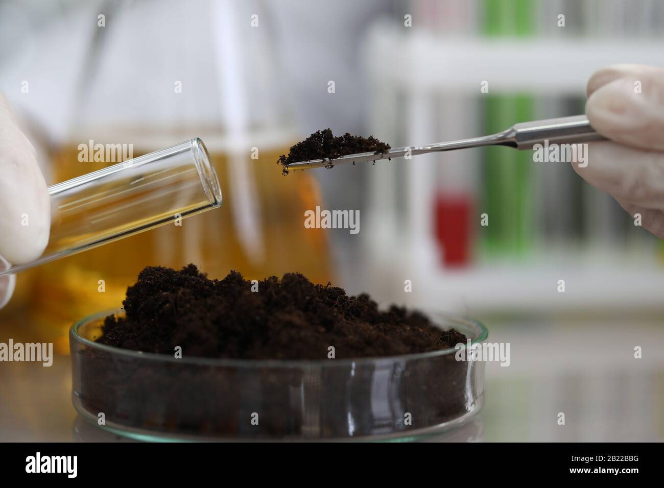 campionamento del suolo per analisi chimiche e test di ph Foto Stock