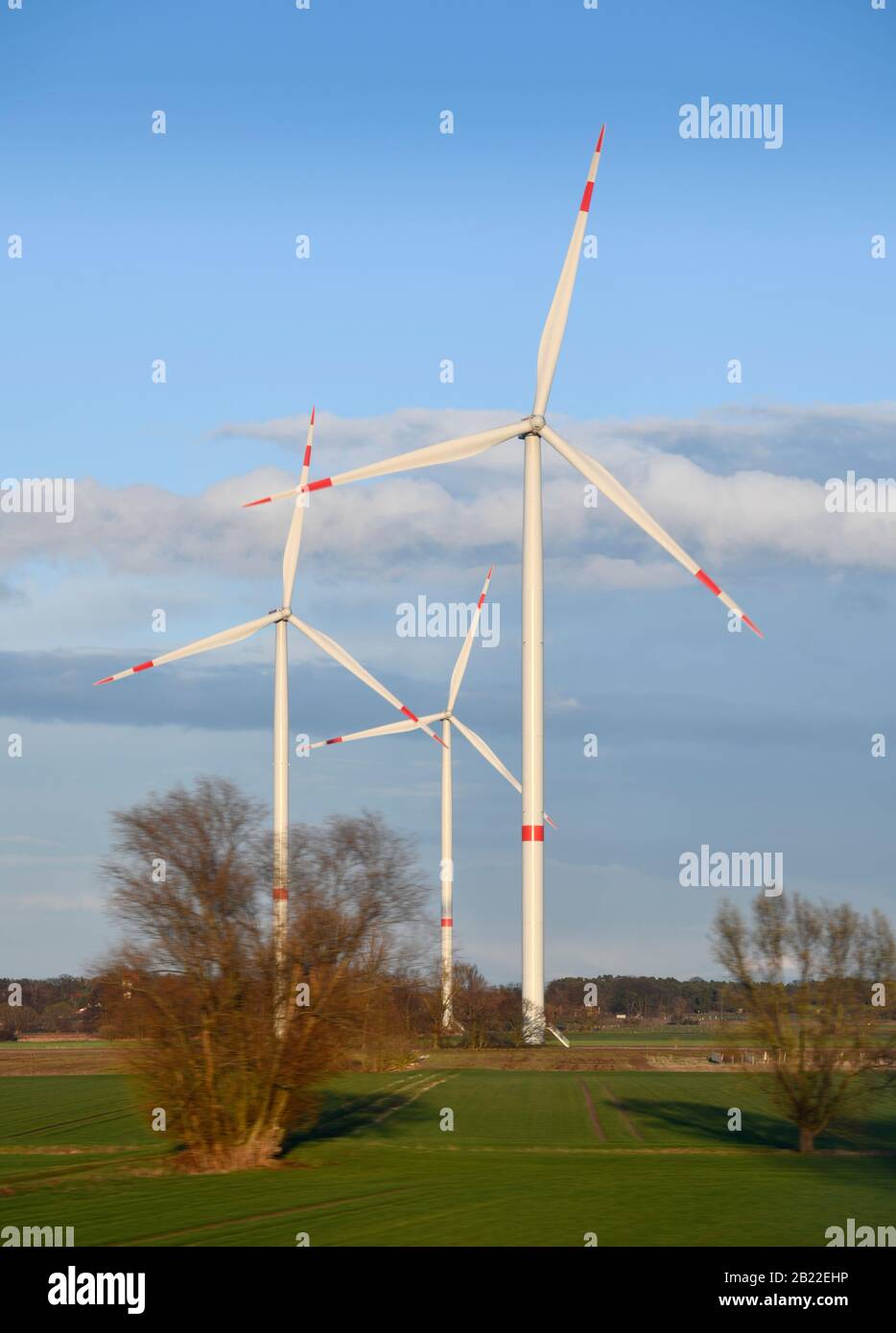 Windräder, Bismark (Altmark), Sachsen-Anhalt, Deutschland Foto Stock