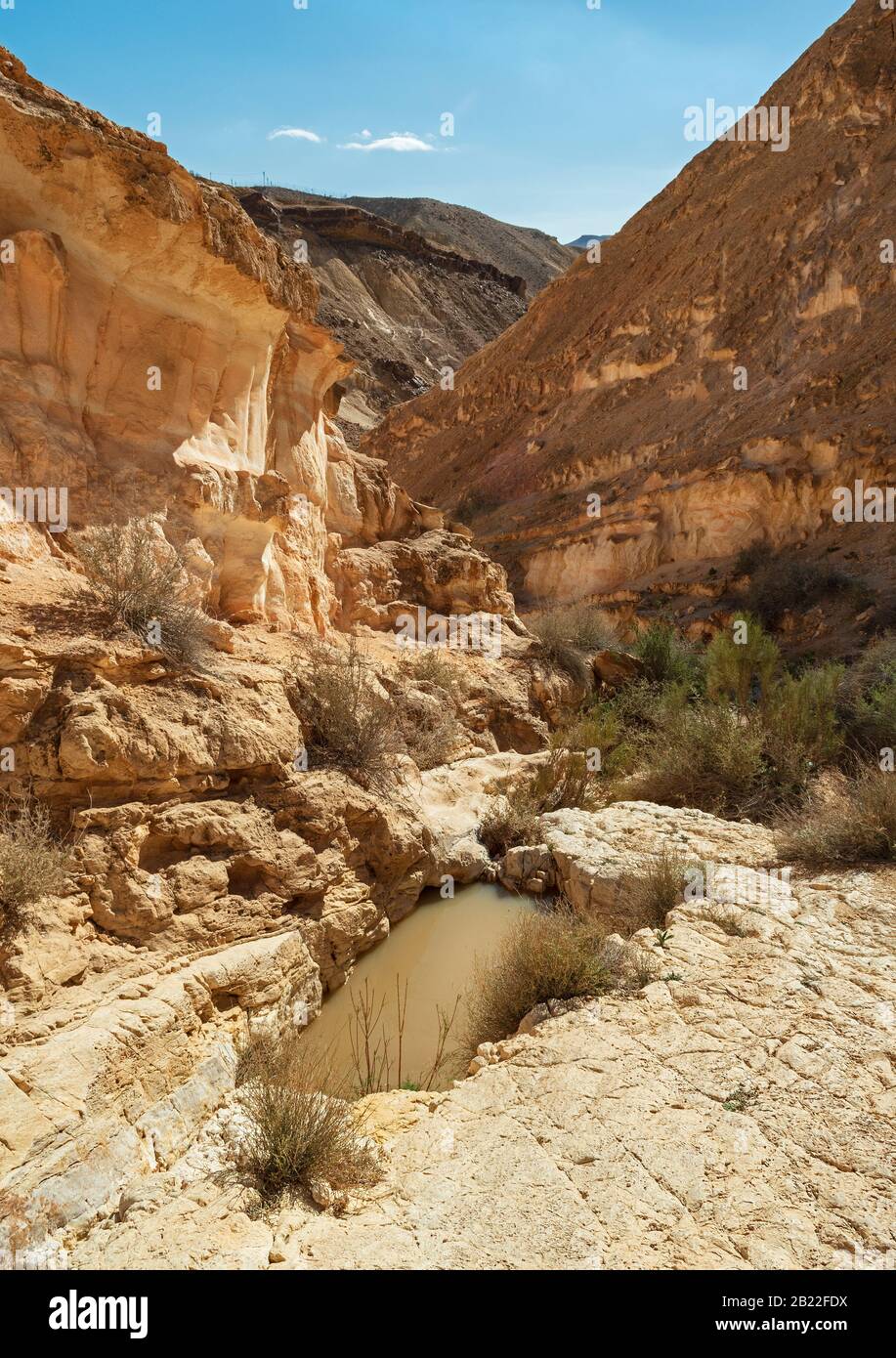 La cache naturale stagionale dell'acqua piovana nella roccia calcarea dell'aspro canyon del torrente carkash nel deserto di zin, vicino al boker sde in Israele Foto Stock