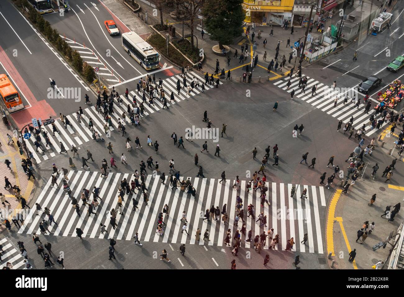 Tokyo, GIAPPONE - FEB 2019 : Persone non definite e Folla di auto con vista areale all'incrocio tra i piedistrains passeggiata a piedi Shibuya traffico di auto a piedi a afterno Foto Stock