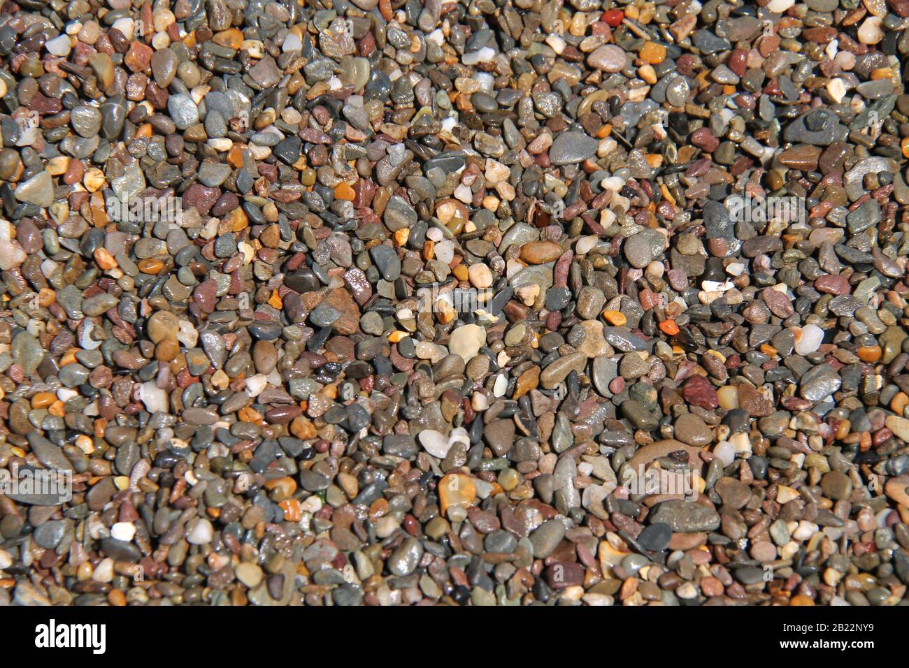Uno Sfondo Di Spiaggia Umida Gravel Stones. Foto Stock
