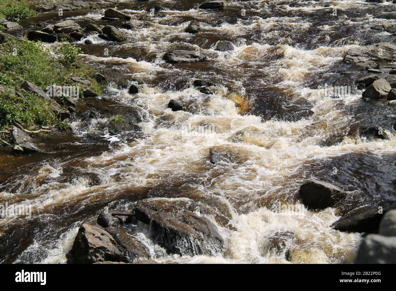 Veloce Fiume Poco Profondo Che Scorre Su Rocky Rapids. Foto Stock