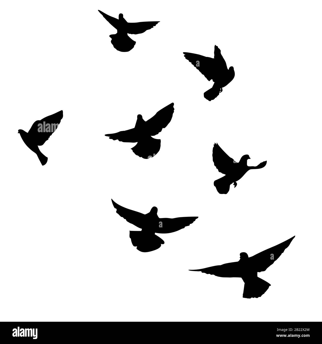Set di piccioni volanti. Silhouette di colombe volare su sfondo bianco. Illustrazione del vettore Illustrazione Vettoriale