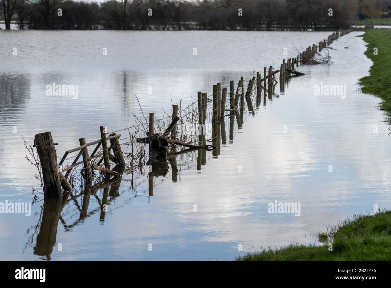 La campagna allagata vicino al villaggio di Melverley, Shropshire dopo il fiume Severn scoppiò le sue banche causando la peggiore inondazione di thew per 20 anni Foto Stock