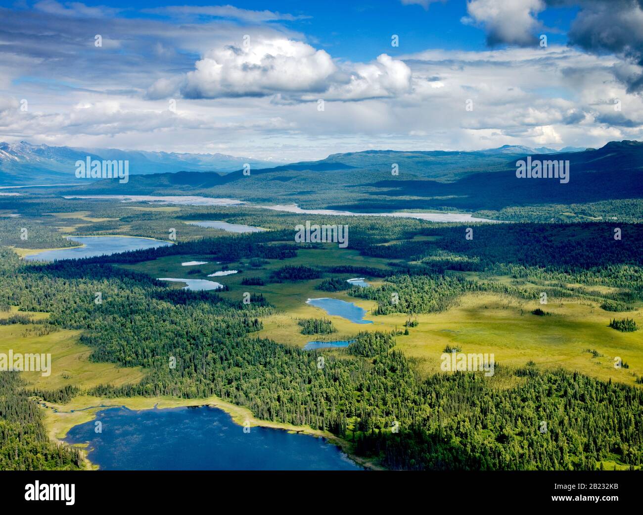 Denali NATIONAL PARK, USA - 06 ago 2008 - laghi alpini e foreste nel Denali National Park Alaska USA - Foto: Geopix/Carol Highsmith Foto Stock