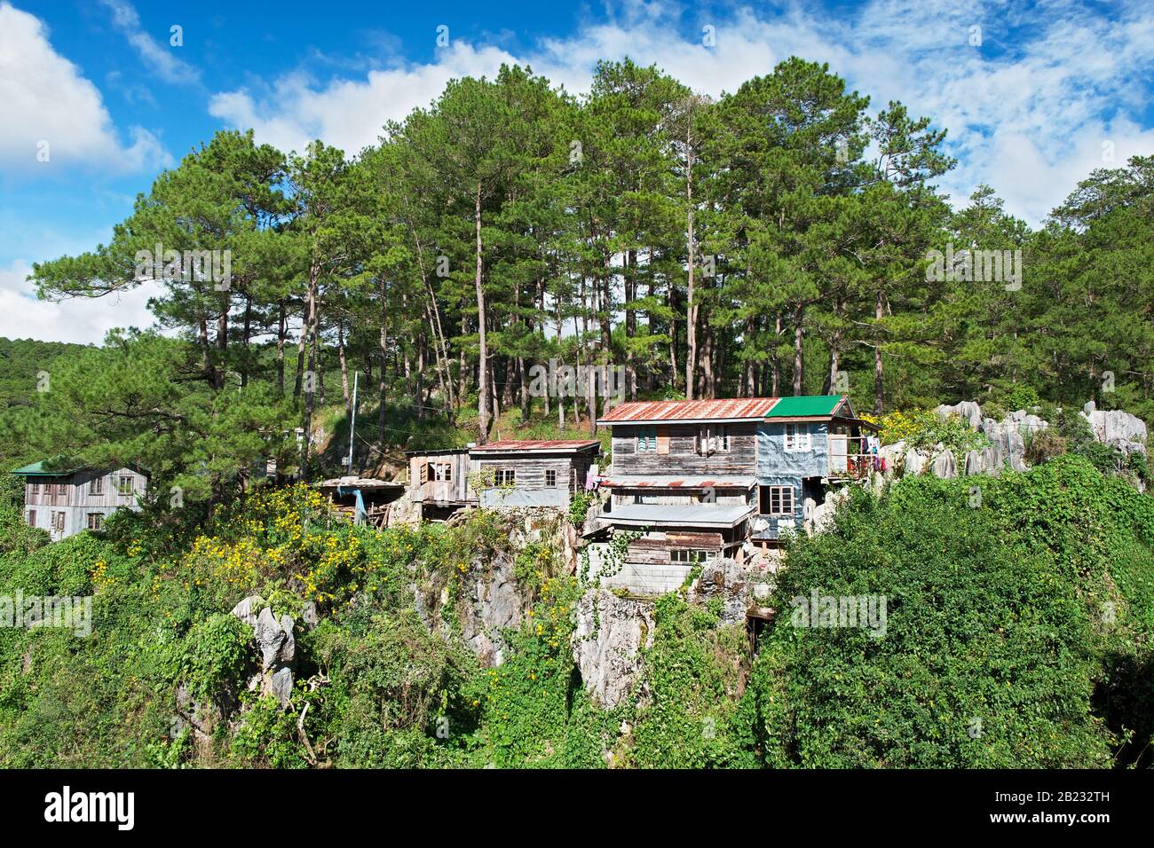 Case tradizionali in legno con tetti in metallo arrugginito, costruite su rocce di pietra calcarea, con pini sullo sfondo, visto in Sagada, Filippine Foto Stock