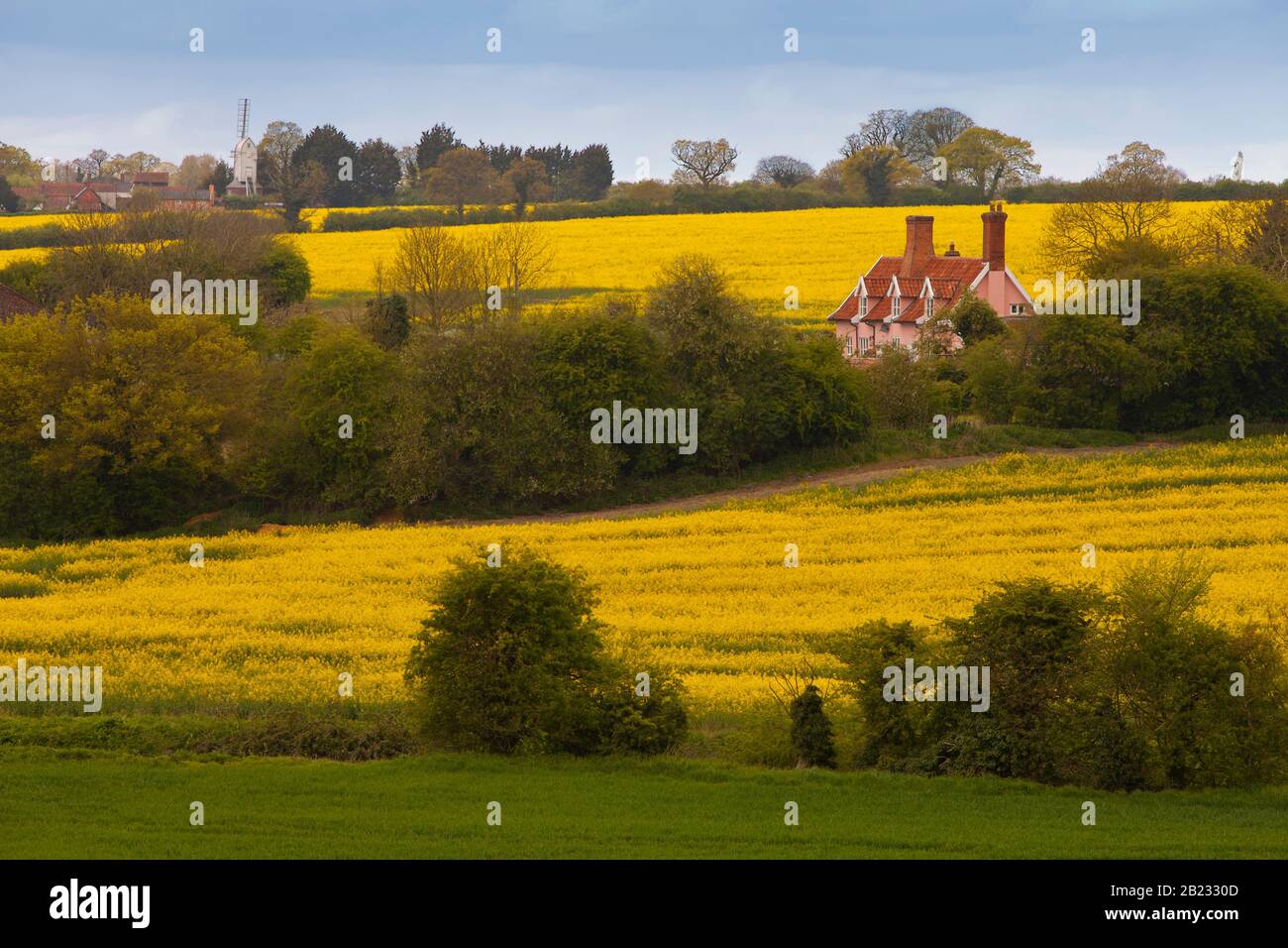 Un pittoresco cottage di campagna a Suffolk, Inghilterra, con una fattoria e mulino a vento in background Foto Stock
