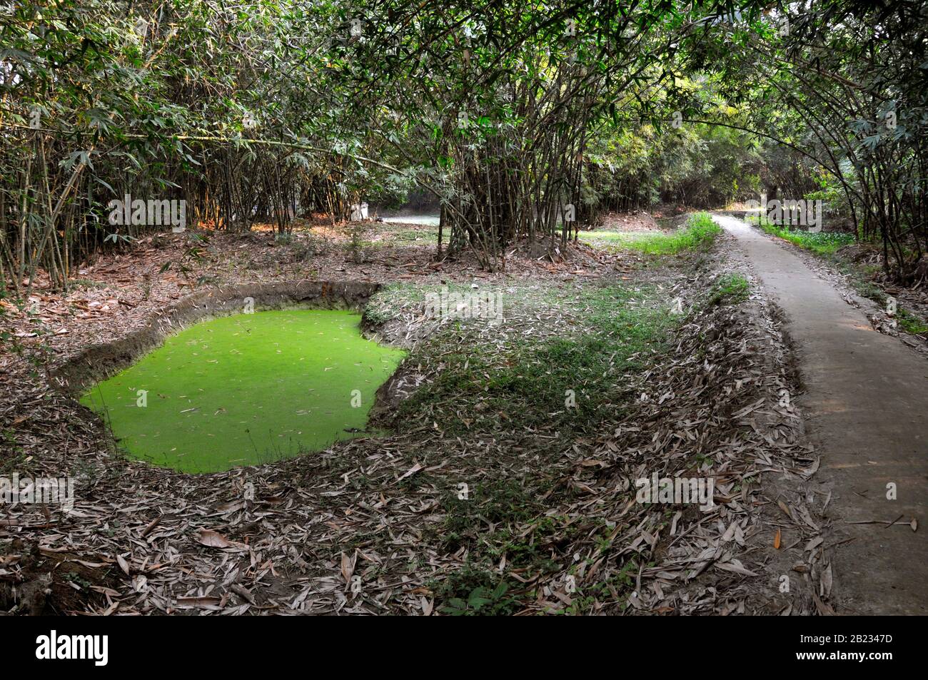 Paesaggio di villaggio Foto Stock