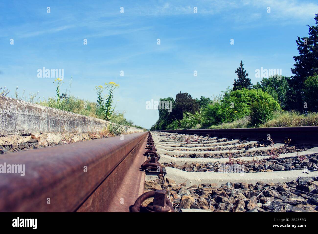 linea ferroviaria, tra alberi e verdi, una giornata di sole Foto Stock