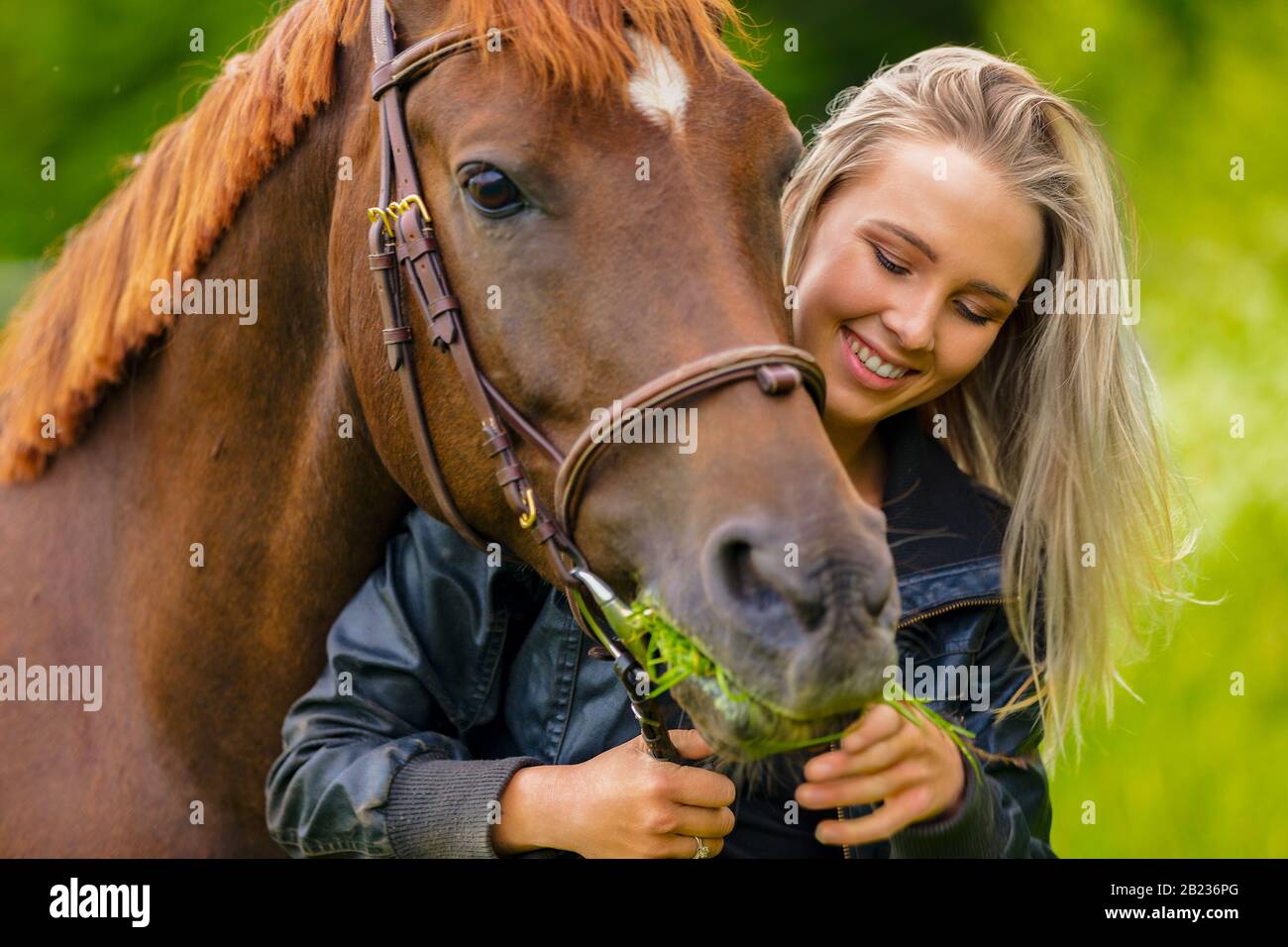 Donna sorridente bella che alimenta il suo cavallo arabo con erba nel campo Foto Stock
