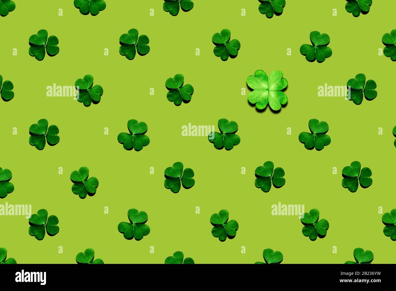 Modello di shamrock e foglie di trifoglio su sfondo verde. Giornata di San Patrizio, focus selettivo. Foto Stock