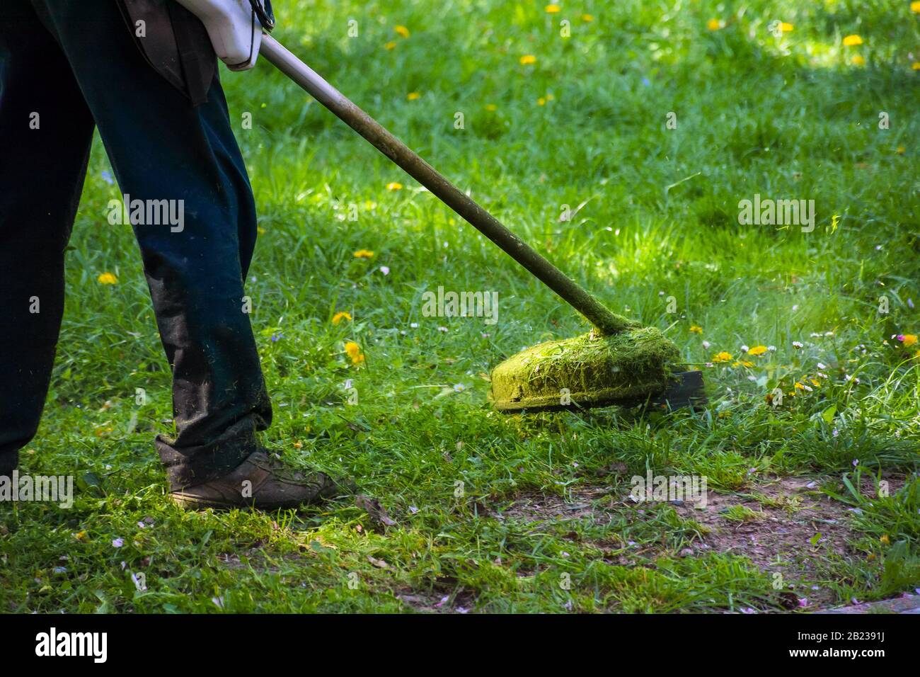lavoro di rifilatura erba nel parco. servizio professionale di cura del prato utilizzando il rifinitore a benzina all'ombra degli alberi Foto Stock