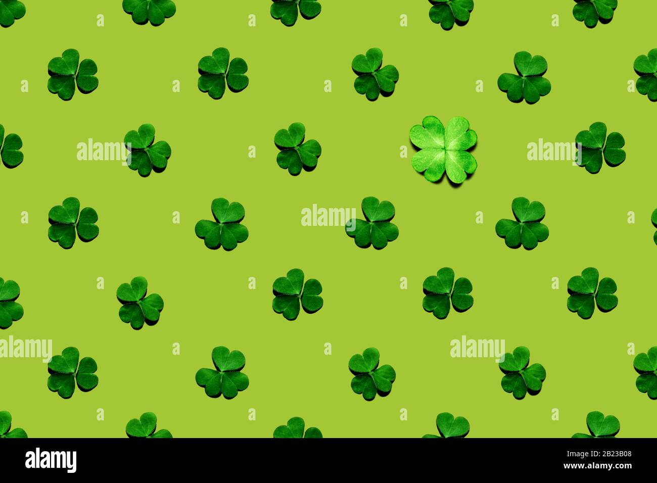 Modello di shamrock e foglie di trifoglio su sfondo giallo-verde. Giornata di San Patrizio, focus selettivo. Foto Stock