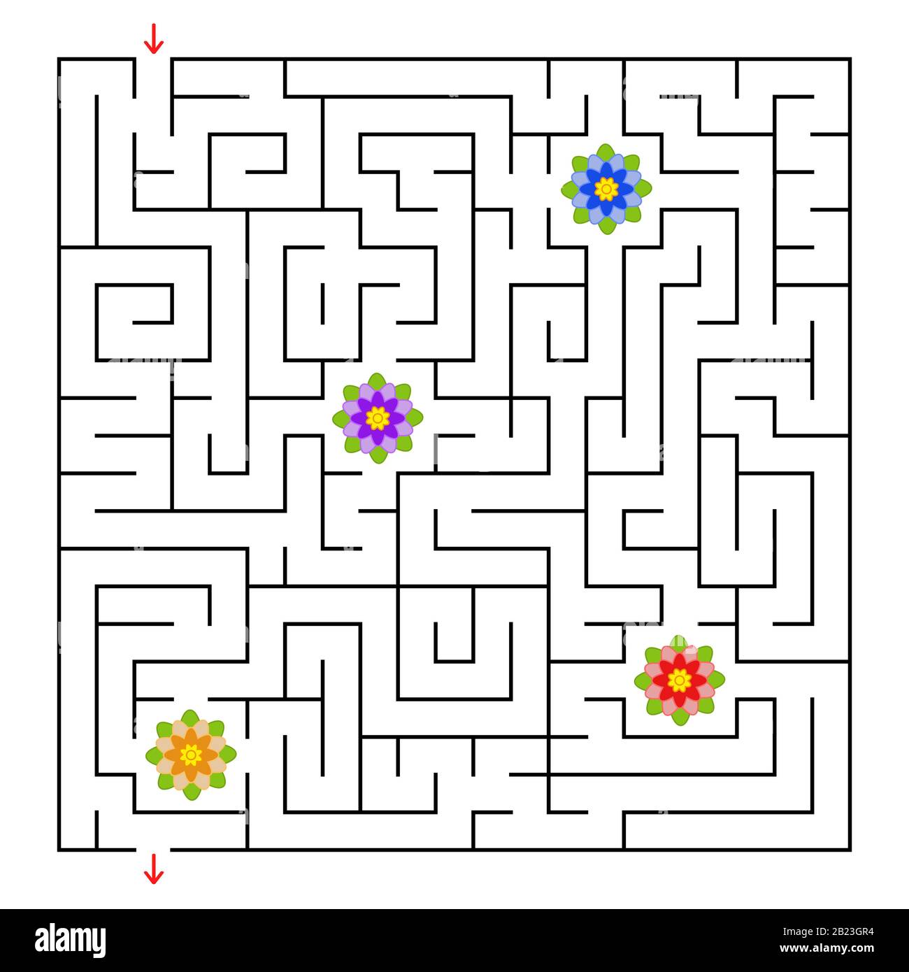 Un labirinto quadrato. Raccogliere tutti i fiori e trovare una via d'uscita dal labirinto. Semplice illustrazione vettoriale piatta isolata Illustrazione Vettoriale