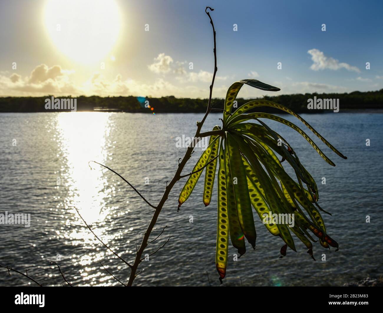 Spiagge Di Holguin Foto Stock