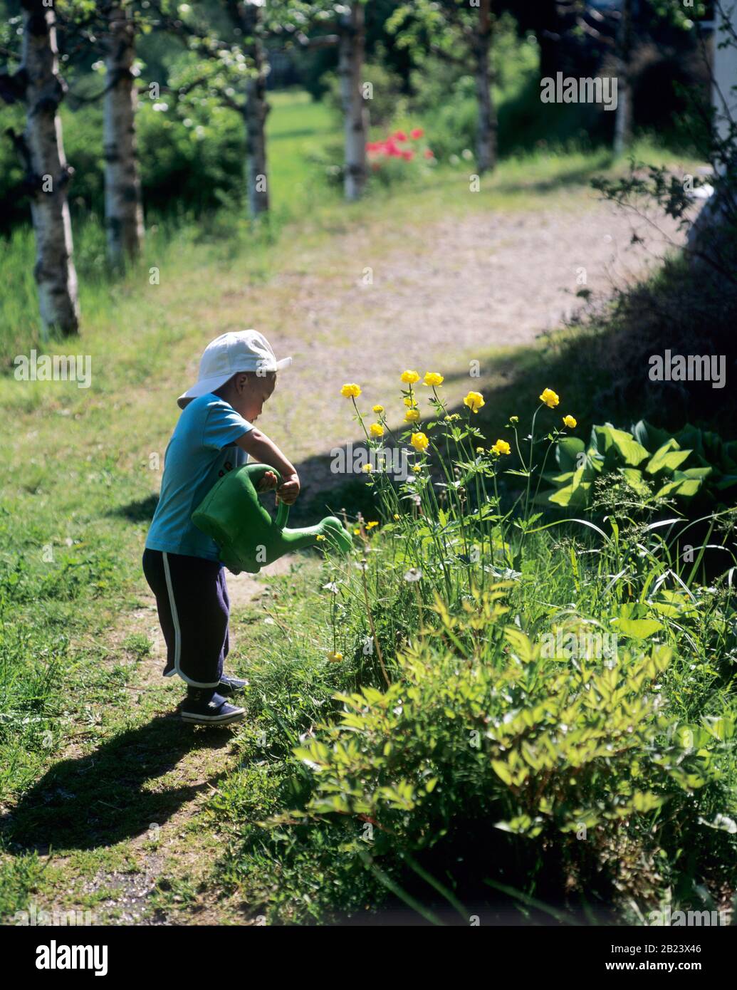 Bambino annaffiare in giardino Foto Stock