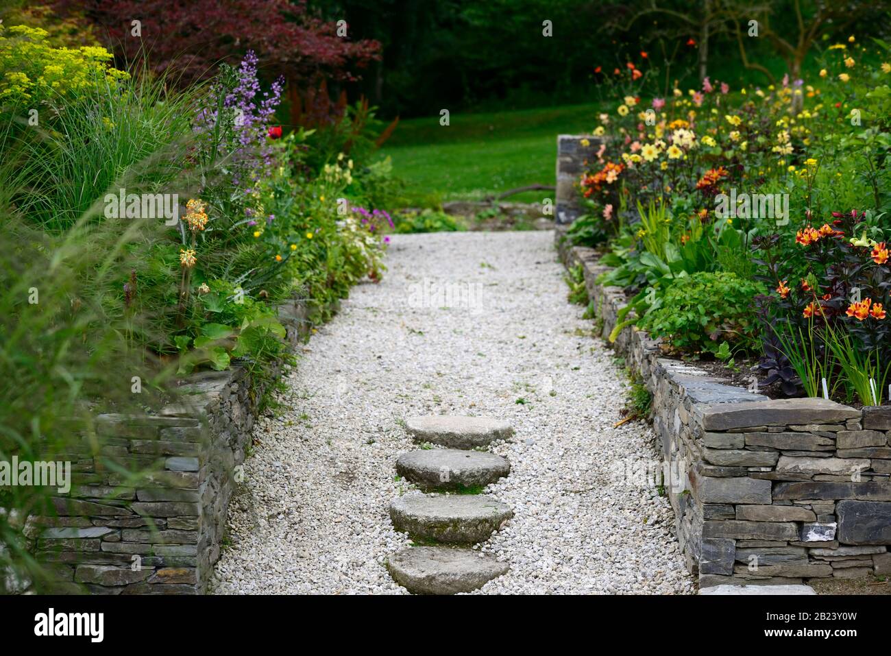 Gradini, gradini in pietra, scalino, giardino, giardino, profondità di campo bassa, giardino, giardini, confine erbaceo, mix, mi Foto Stock