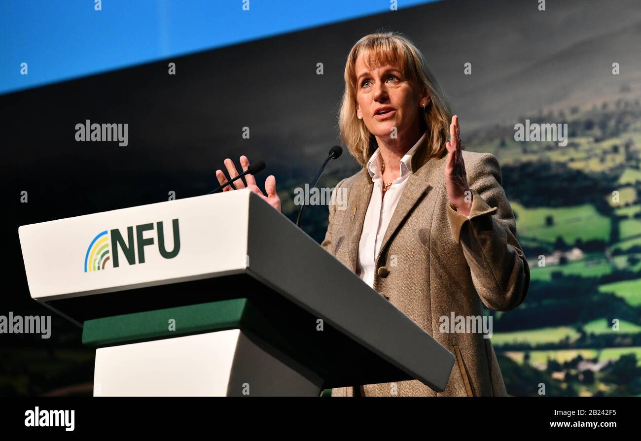 Presidente della NFU (National Farmers Union) Minette Batters parla alla Conferenza NFU di Birmingham nel febbraio 2020. Foto Stock
