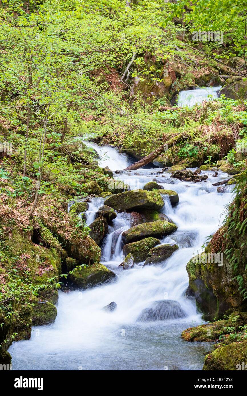 rapido ruscello d'acqua nella foresta. potente flusso tra le rocce mossy. splendido paesaggio naturale in primavera. verde verde brillante fogliame sugli alberi Foto Stock