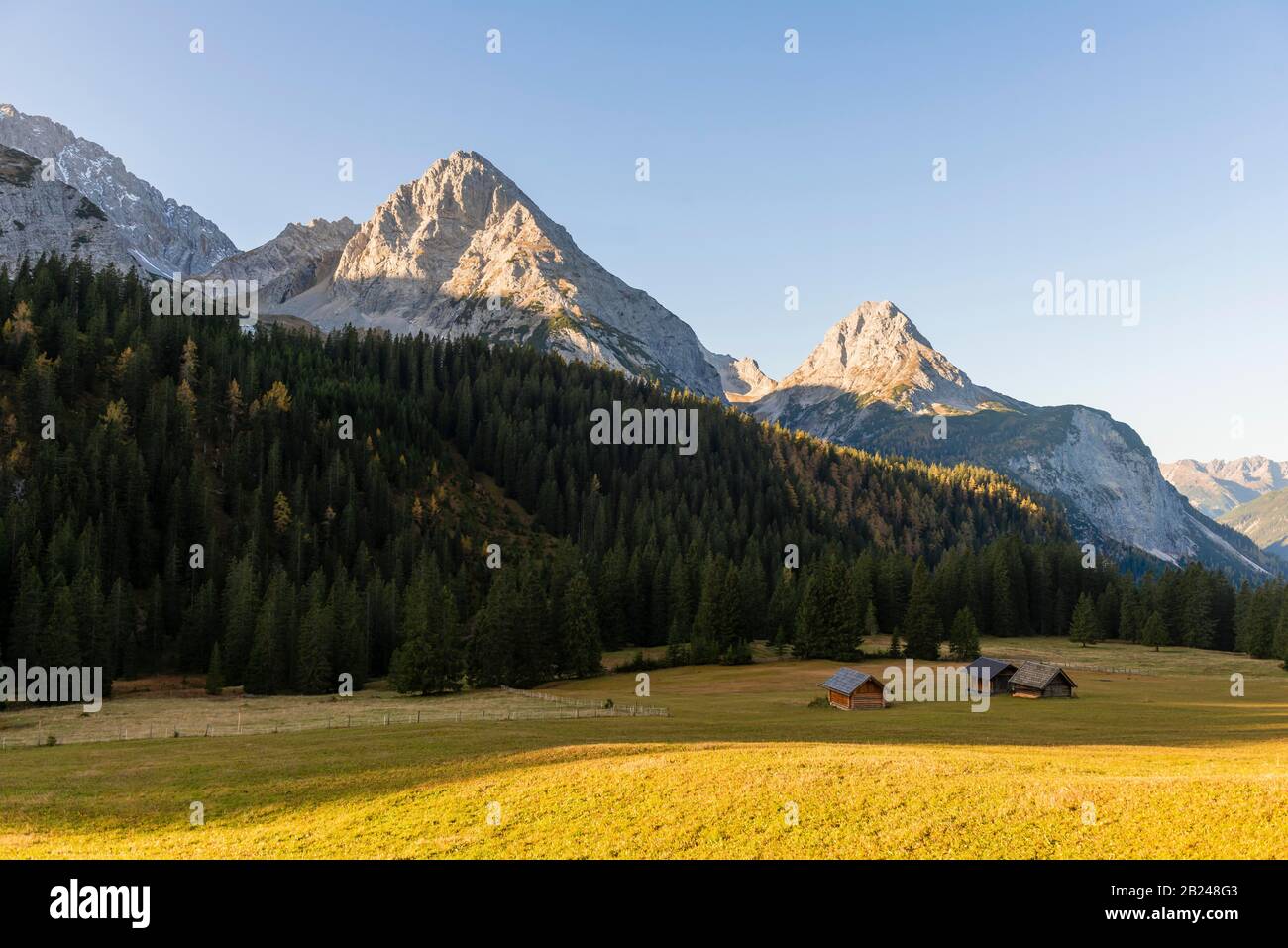 Rifugi alpini in un prato, paesaggio alpino, Ehrwalder Alm, Ehrwalder Sonnenspitze destra, Vorderer centrale Tajakopf e Hinterer Tajakopf, Ehrwald Foto Stock