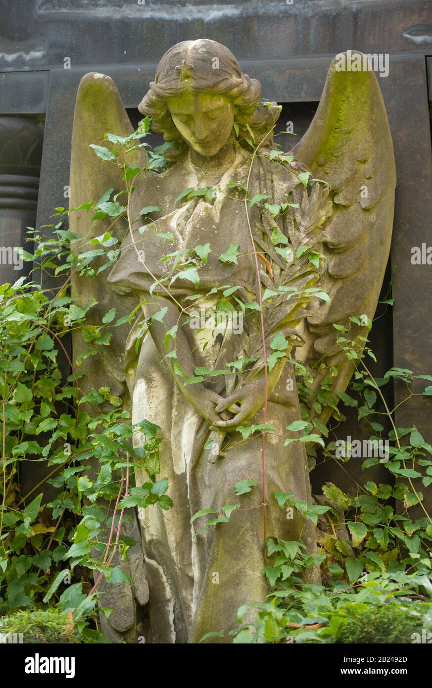 Figura di angelo femminile, pregando, con stella sulla corona, circondata da arrampicata pianta, tomba storica, cimiteri a Bergmannstrasse, Berlino-Kreuzberg Foto Stock