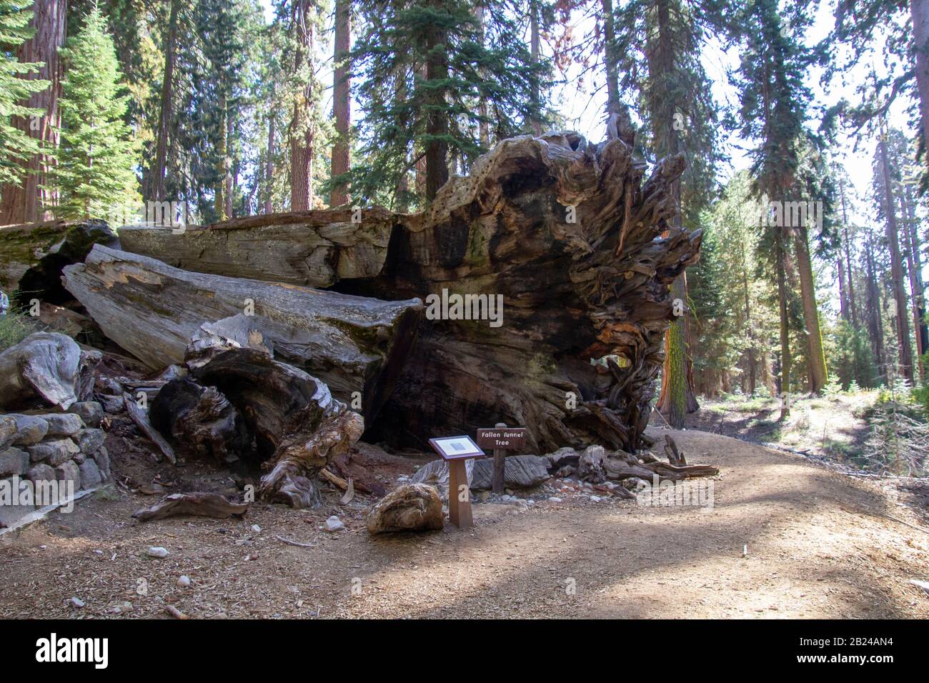 Yosemite autunno 2019 Foto Stock