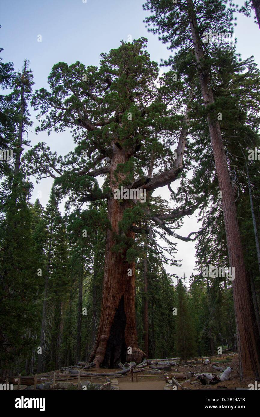 Yosemite autunno 2019 Foto Stock