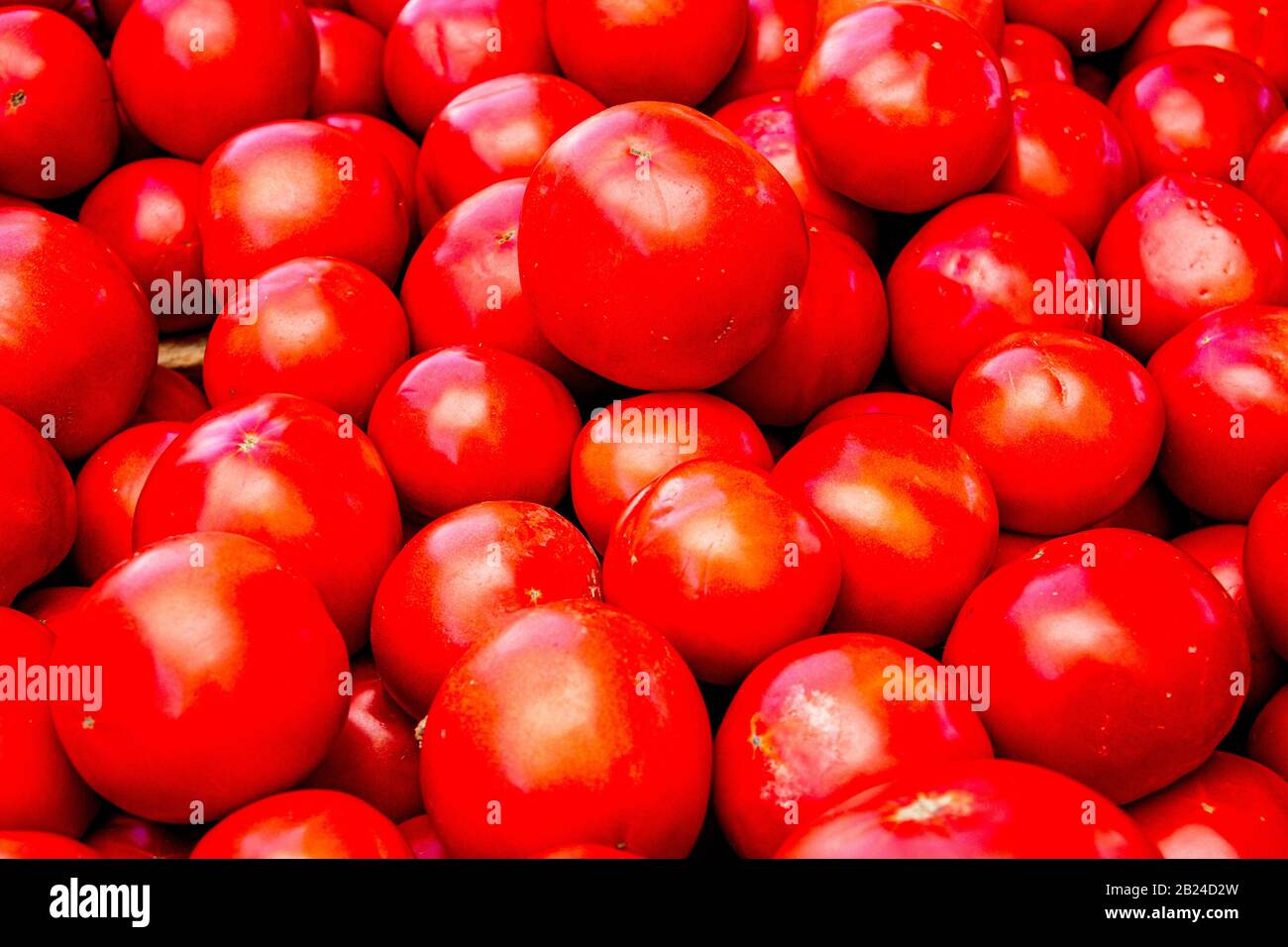 Succosa salute booster energia salute vegetali freschi raccolti pomodori su un open air mercato della frutta stand. Foto Stock