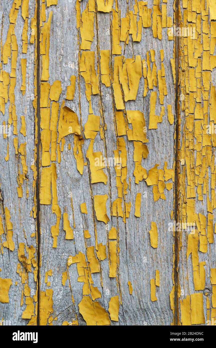 Dettaglio di antiche mura in legno con i resti dell'ocra di vernice senza foglie. La vernice che si stacca rivela la consistenza del legno. Sfondo verticale Foto Stock