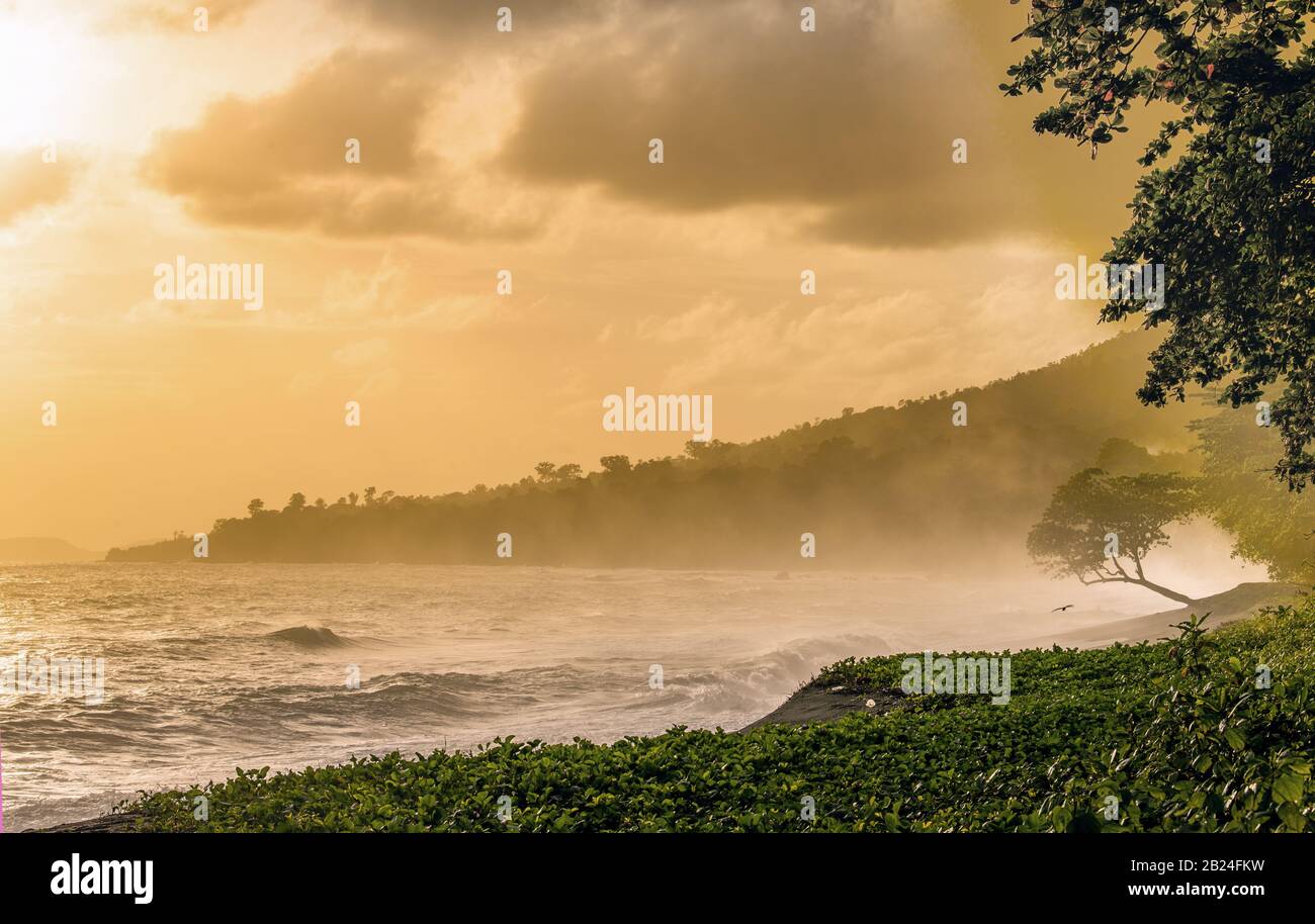 Spiaggia vulcanica di sabbia nera nel Parco Nazionale di Tangkoko. Mattina presto nebbia sulla costa del Parco Nazionale di Tangkoko. Sulawesi. Indonesia Foto Stock