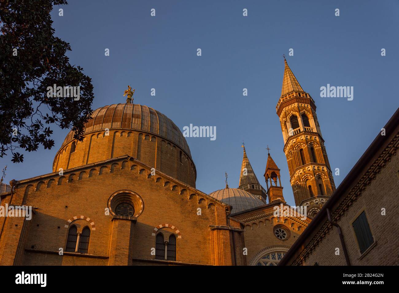 Basilica di sant'antonio di padova immagini e fotografie stock ad alta