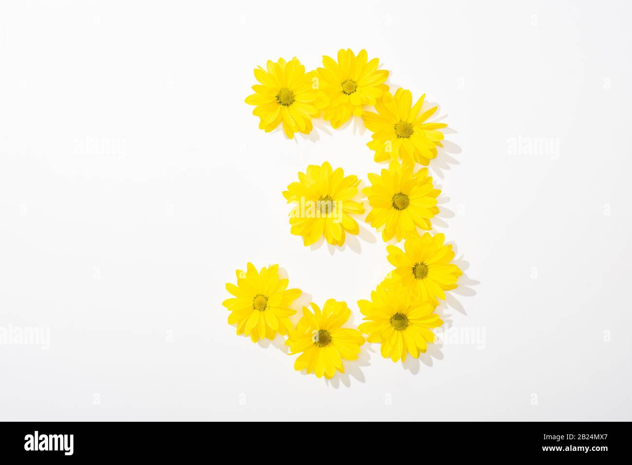 vista dall'alto delle margherite gialle disposte al numero 3 su sfondo bianco Foto Stock