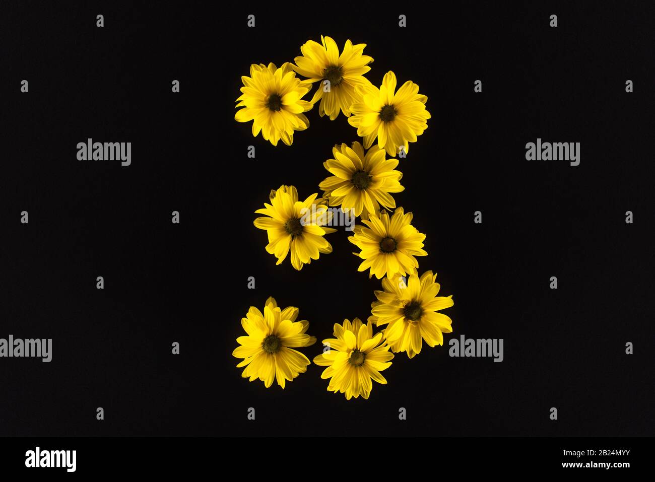 vista dall'alto delle margherite gialle disposte al numero 3 isolate su nero Foto Stock