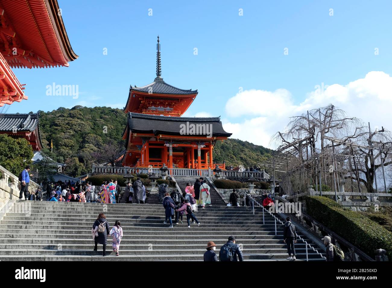 Folla Al Santuario Di Fushimi Inari Taisha A Kyoto, Giappone Foto Stock