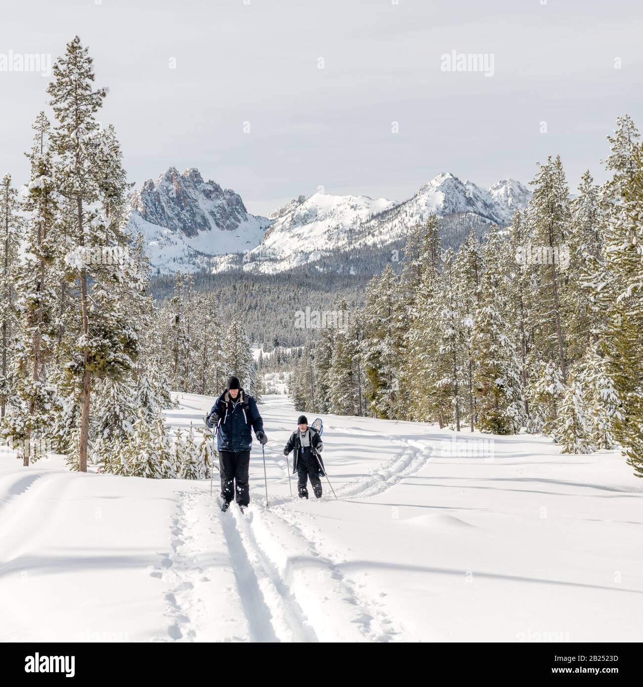 Sci di fondo nel backcountry della regione selvaggia dell'Idaho Foto Stock