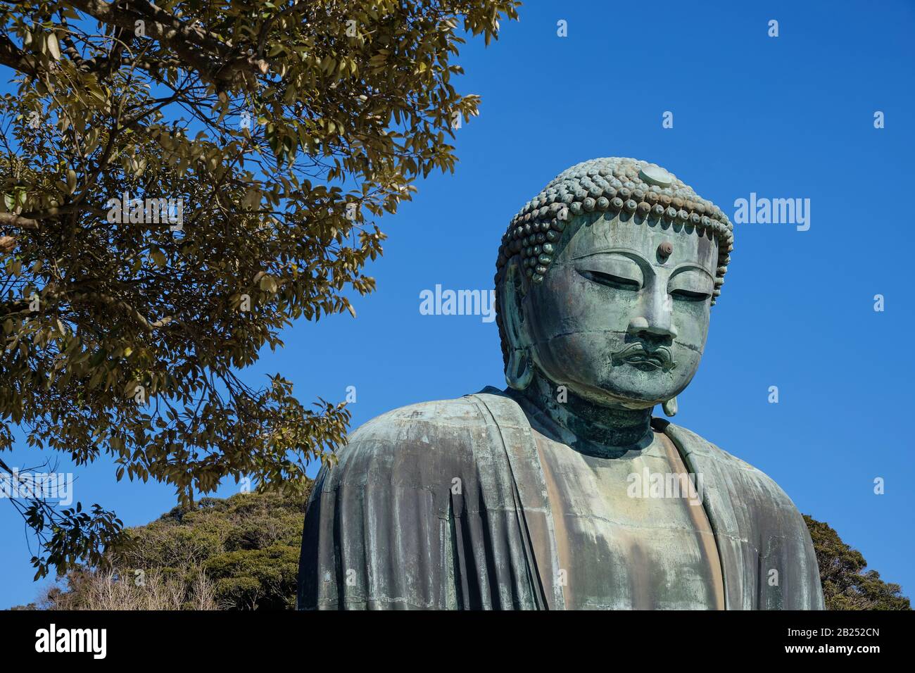 Il gigante Buddha di bronzo (Daibutsu) al tempio di Kotoku-in a Kamakura, Giappone. Foto Stock