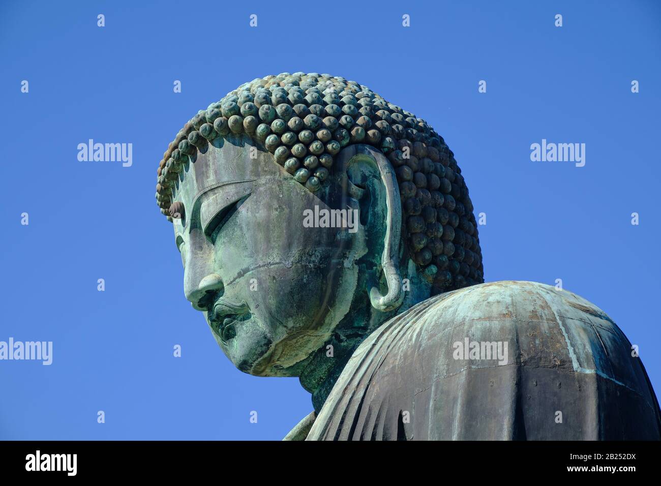 Il gigante Buddha di bronzo (Daibutsu) al tempio di Kotoku-in a Kamakura, Giappone. Foto Stock