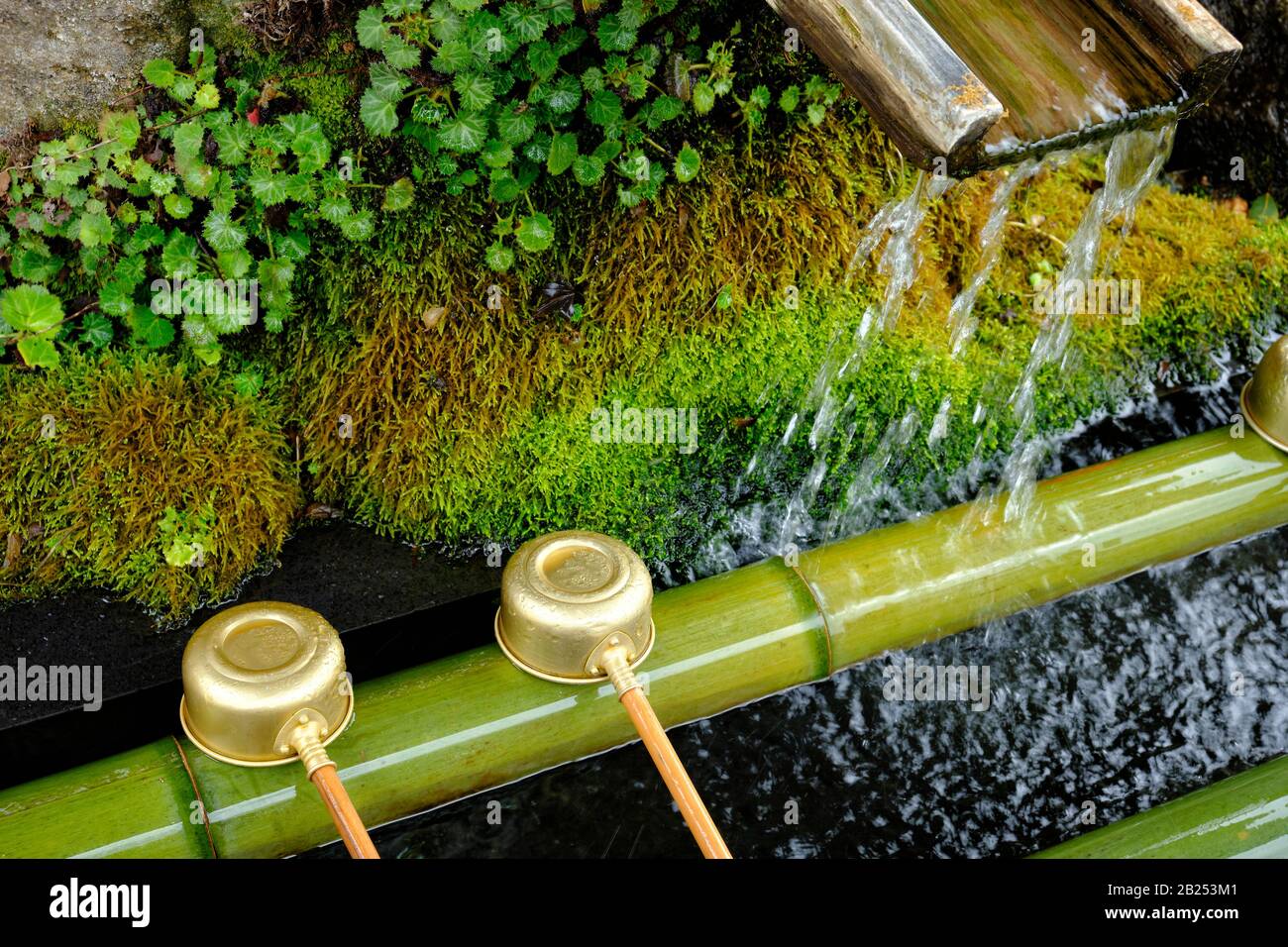 Mestoli di bamboo hishaku ad un temizuya per lavare a mano prima di entrare in un tempio in Giappone. Foto Stock