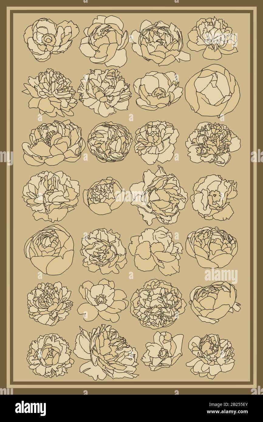 Antichi disegni botanici di fiori primaverili. Rose, peonie e tulipani, perfetti per poster e loghi. Illustrazione Vettoriale