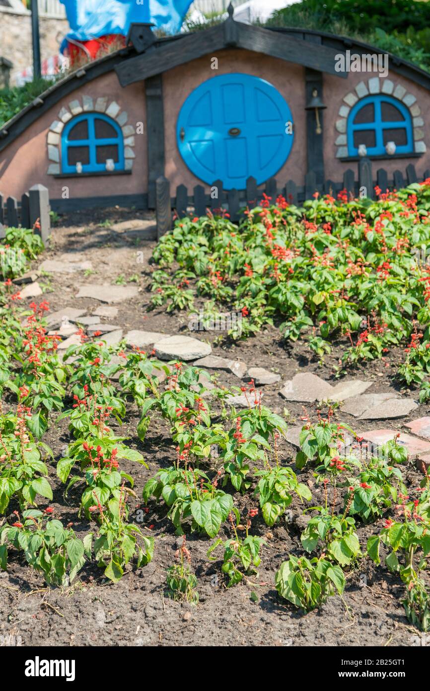 Kiev, Ucraina. Juny 20 2019 la piccola casa hobbit. Tema fiorito nel parco. Foto verticale. Foto Stock