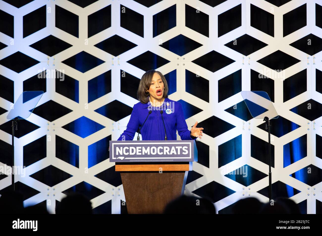 Charlotte, Stati Uniti. 29th Feb, 2020. Delaware Congresswoman, Lisa Blunt Rochester, parla al Blue NC Celebration all'Hilton Charlotte University Place Hotel il 29 febbraio 2020 a Charlotte, North Carolina. Credito: Il Photo Access/Alamy Live News Foto Stock