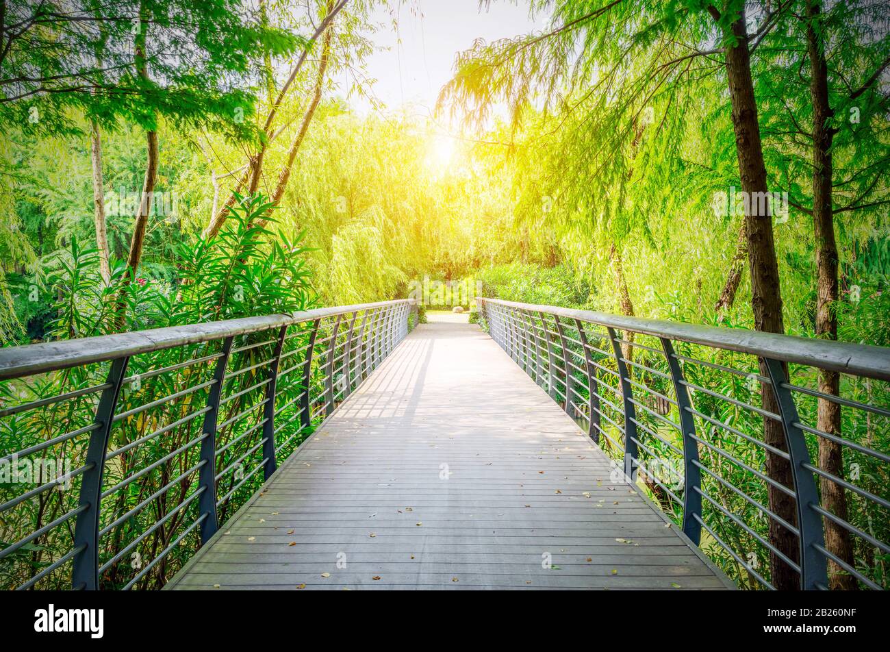 Un ponte in legno nel parco attraversa boschi densi. Foto Stock