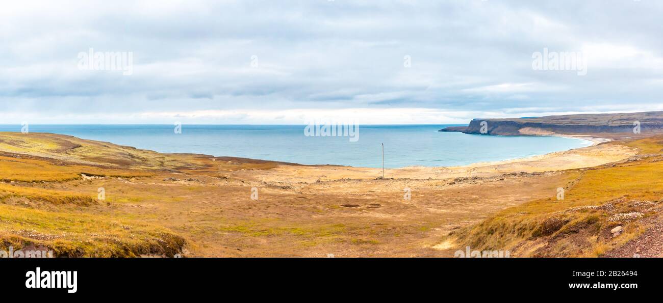 Latrabjarg in Islanda Breidlavik Beach colorato giallo da conchiglie luminose Foto Stock