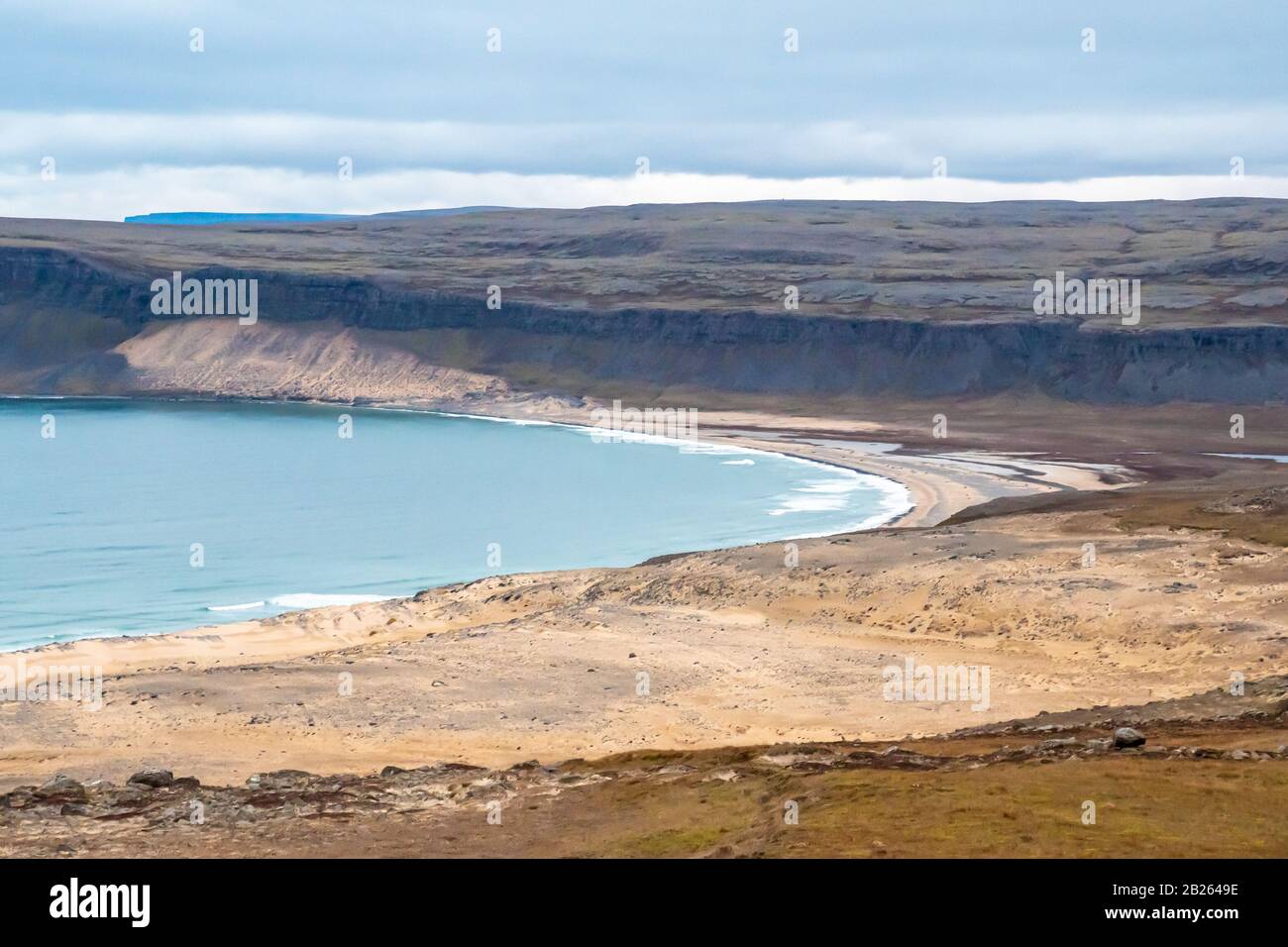 Latrajarg in Islanda Breidlavik Beach colorato giallo da conchiglie smerlo durante la tarda serata Foto Stock