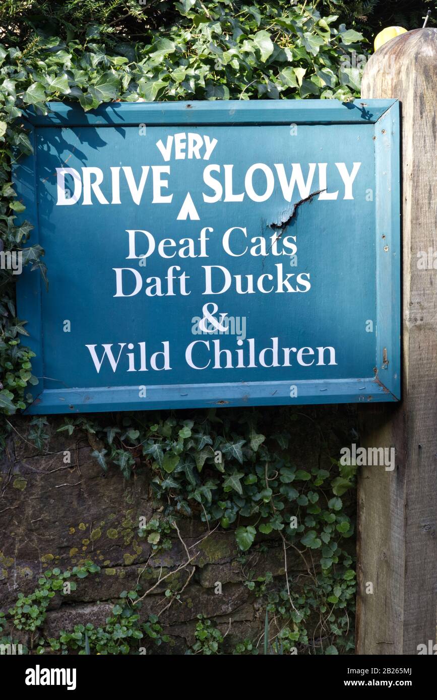 guidare molto lentamente, sordi gatti, anatre di poppa e bambini selvatici segno Foto Stock