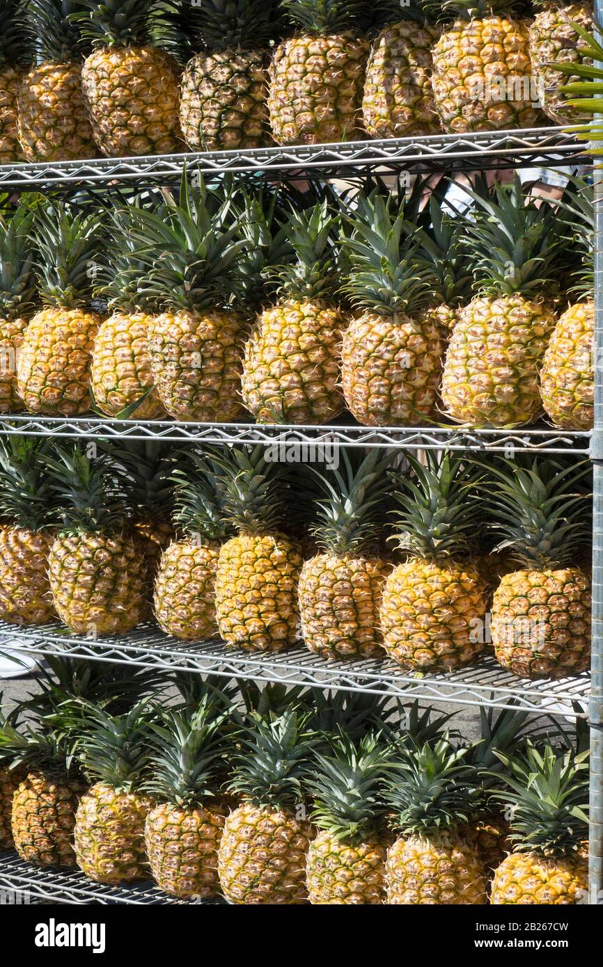 USA, Hawaii, Oahu, Honolulu, ananas in vendita Foto Stock