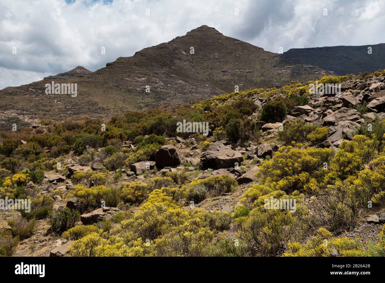 Lekalo La Thaba Putsoa, Blue Mountain Pass, Lesotho Foto Stock