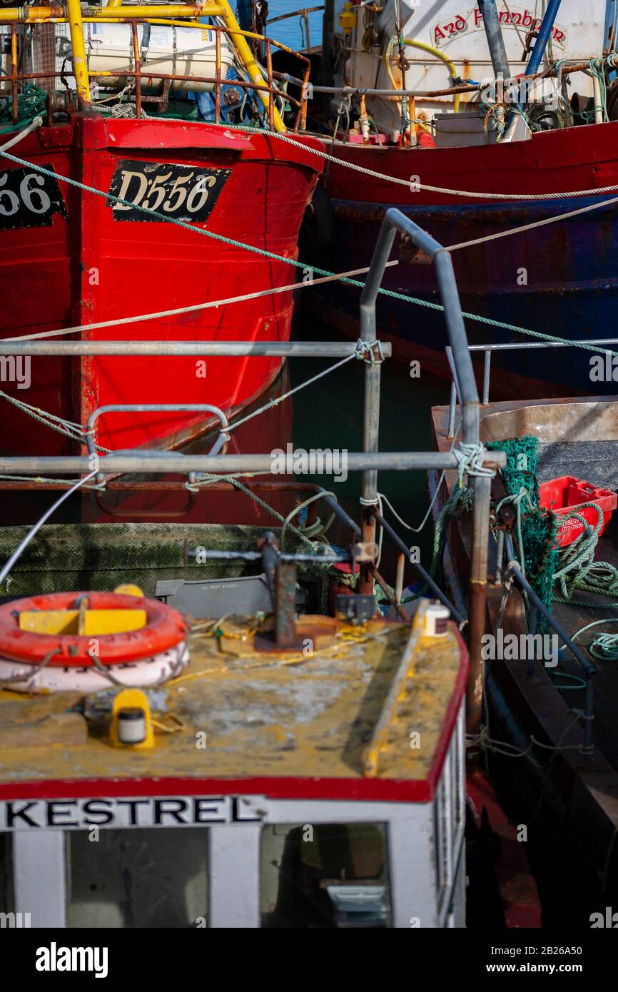 Barche Da Pesca Irlandesi, Portmagee Harbor, County Kerry, Irlanda Foto Stock