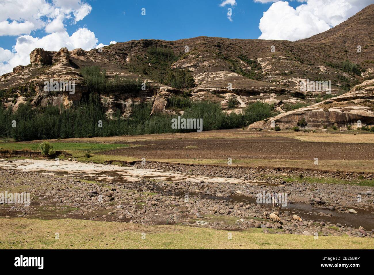 Pastore con pecora, fiume Holomo, Lesotho Foto Stock